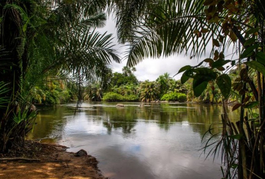 Tiwai Island Wildlife Sanctuary, Southern Province, near Kenema, Sierra Leone